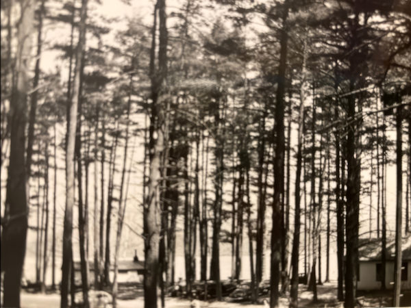 Gibson's Grove, Lake Buel, 1950s